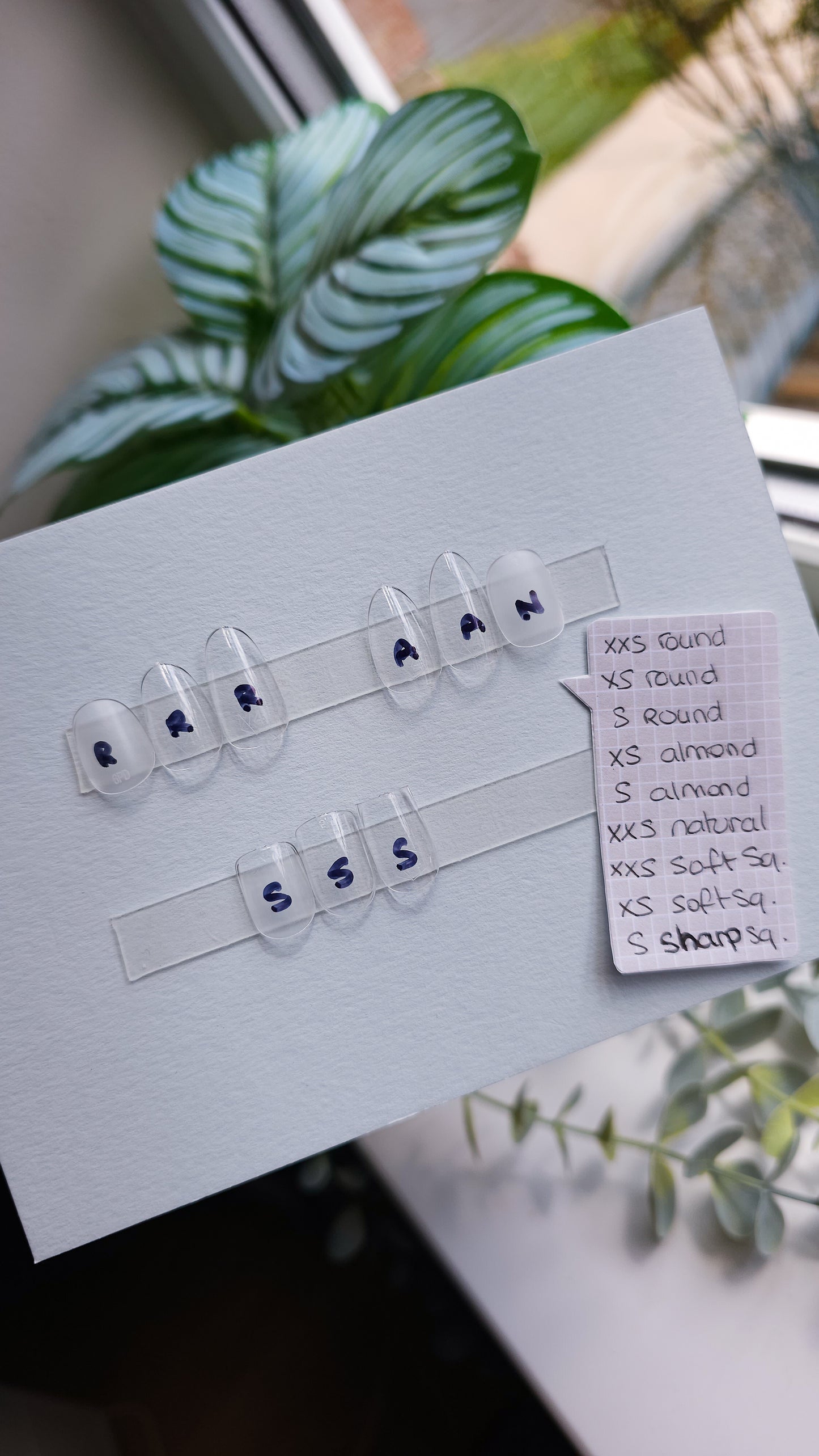 Shape finder kit (FREE)