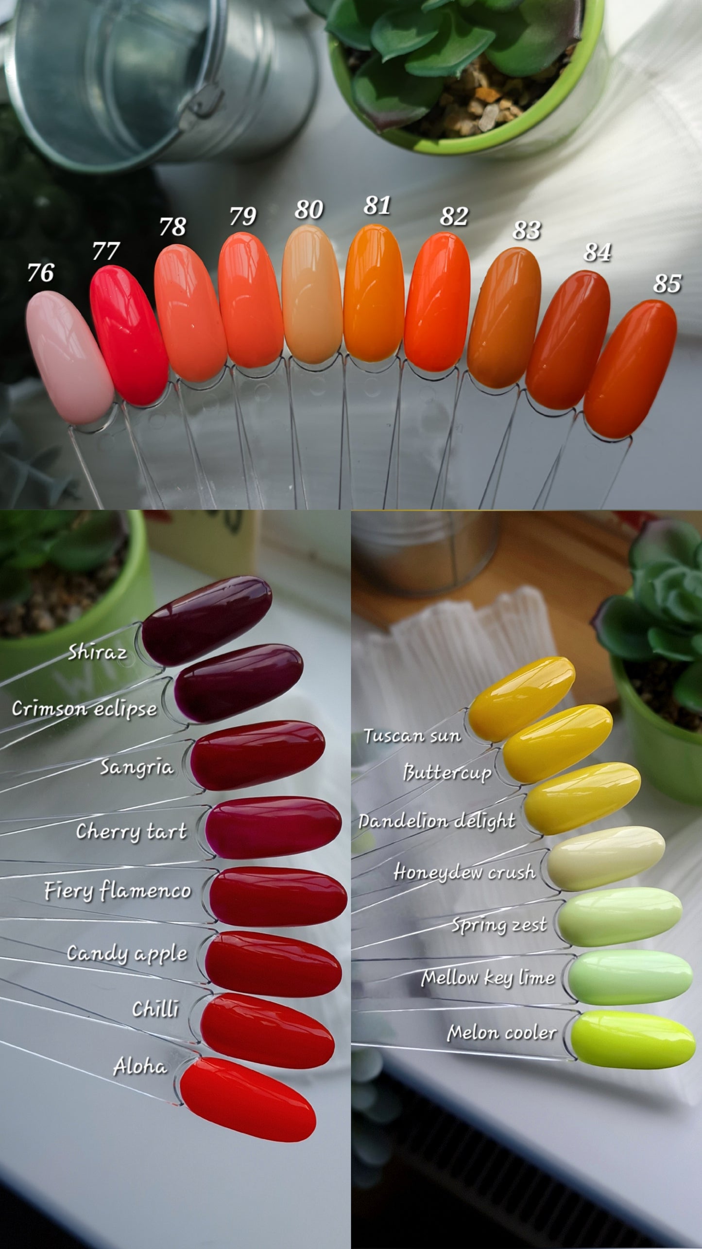 Solid colours sets | Press on nails