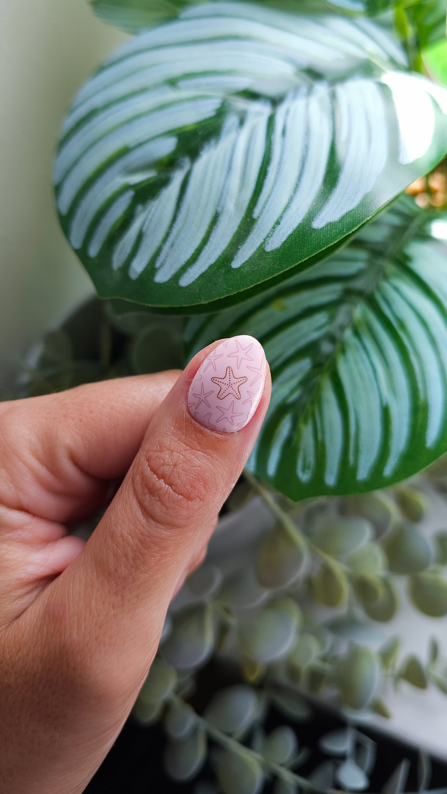 Starfish in pink | Press on nails