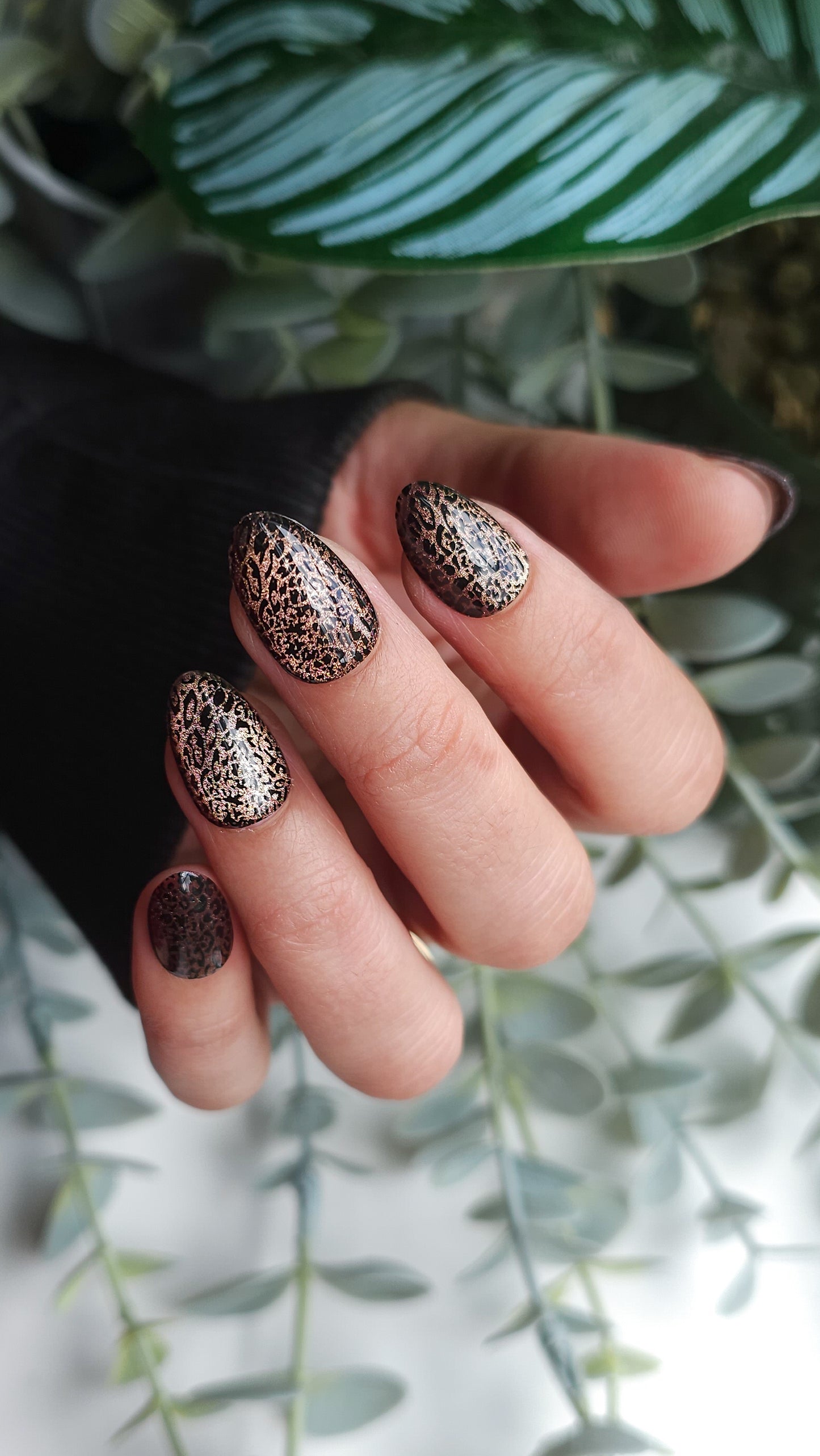Velvet animal | Press on nails
