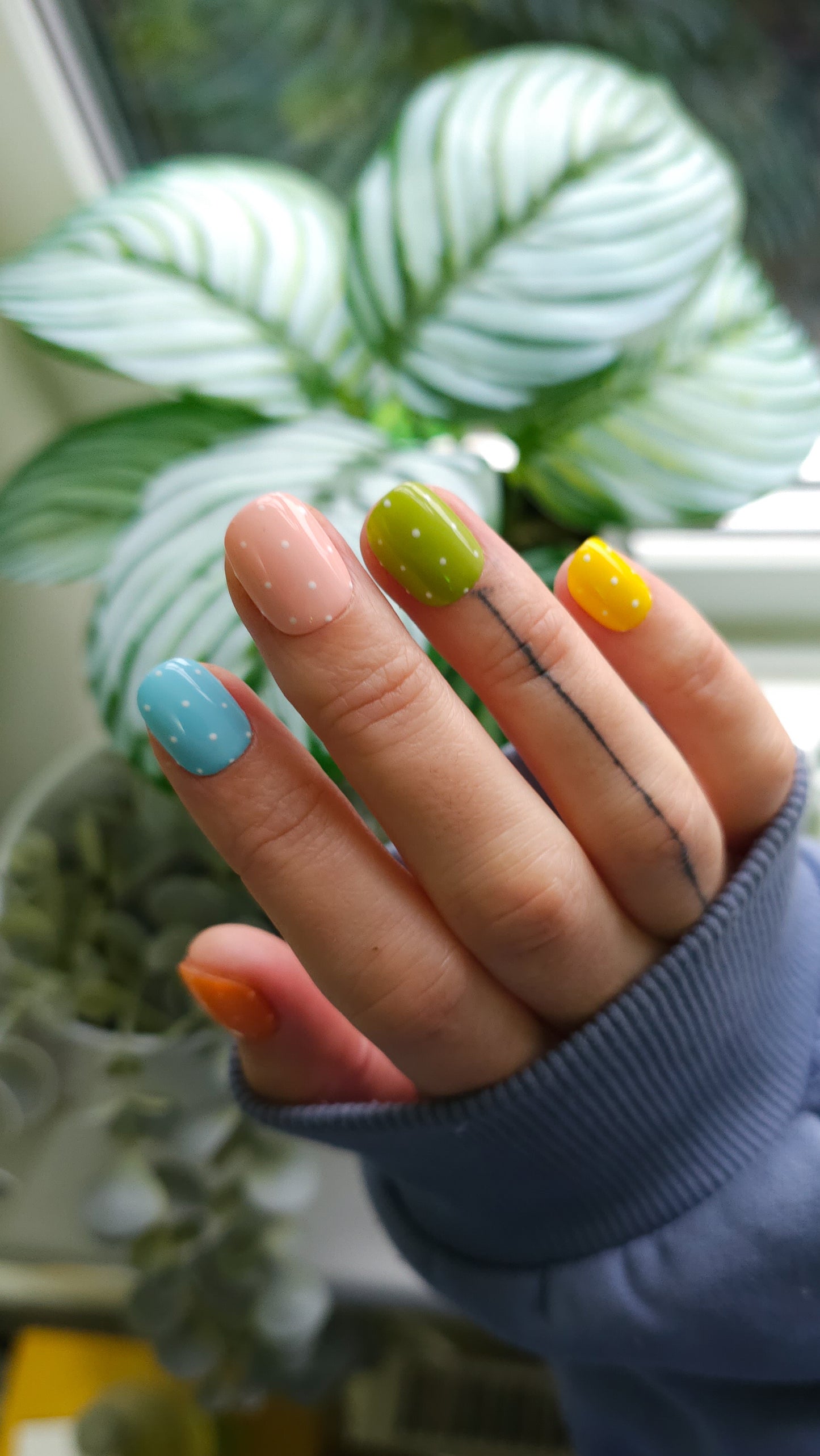 Colourful polka dots| Press on nails